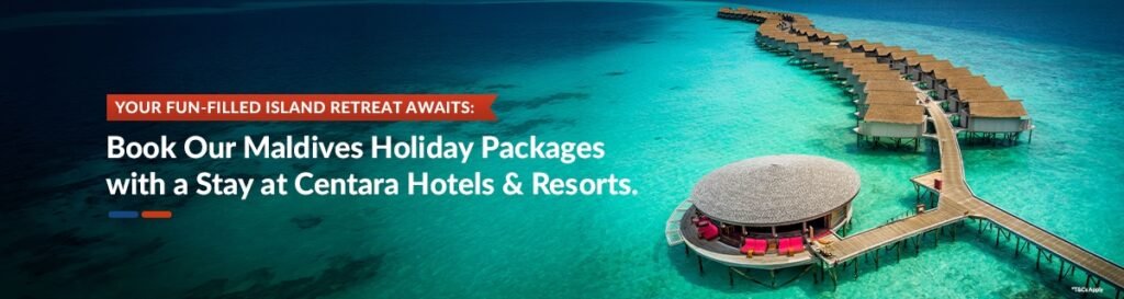 family holiday package in india
